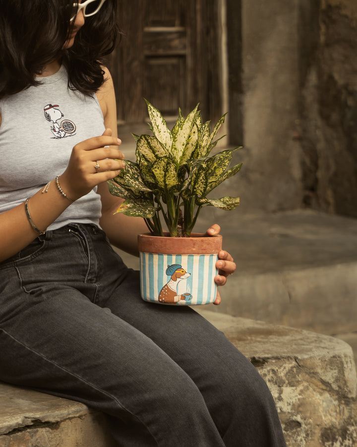 Slow Mornings – Hand-Painted Terracotta Planter
