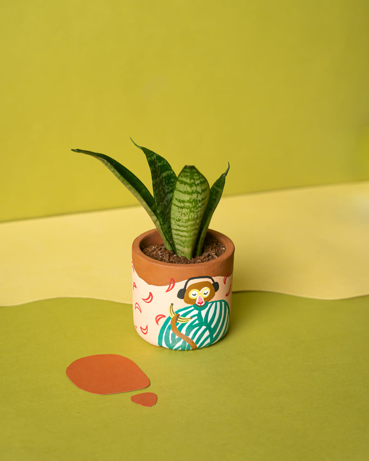 The Music Lover Pot - Raw Earth Shop