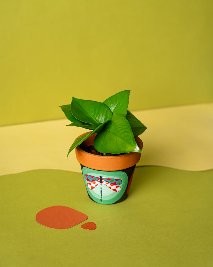Wings Of Nature - Raw Earth Shop