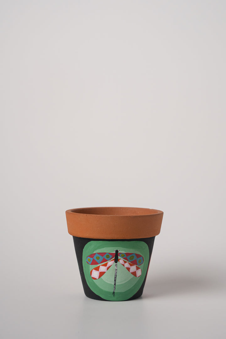 Wings Of Nature - Raw Earth Shop