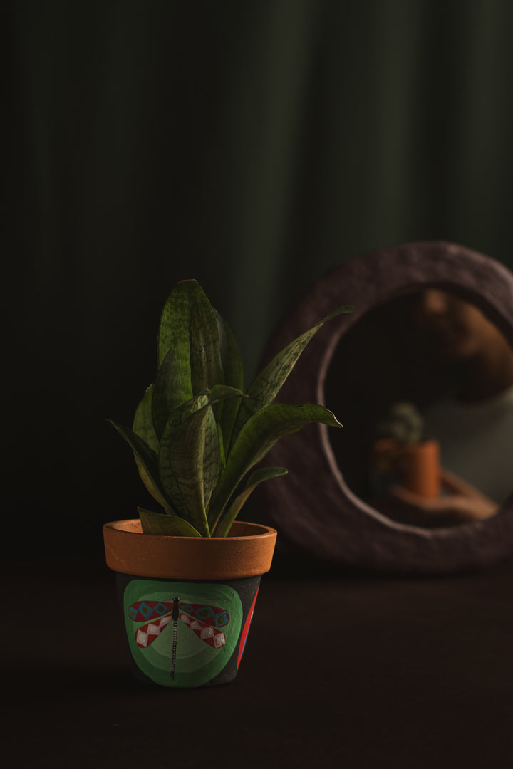 Wings Of Nature - Raw Earth Shop
