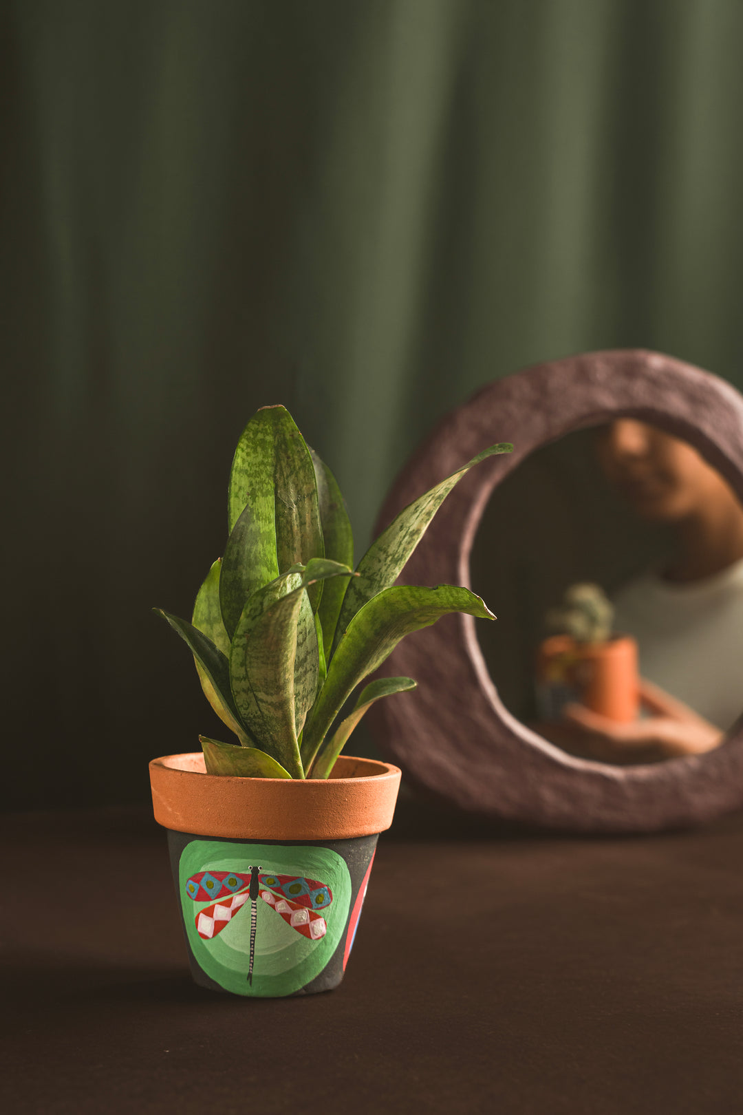 Wings of Nature – Dragonfly Terracotta Planter
