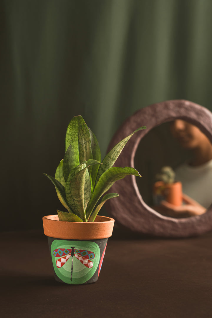 Wings of Nature – Dragonfly Terracotta Planter