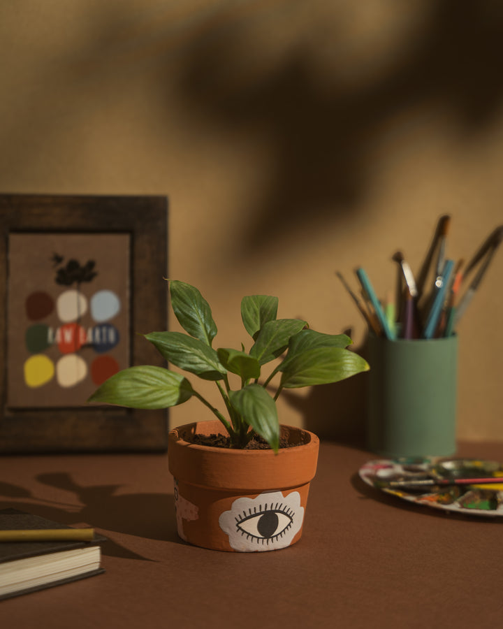 The Watchful Eye - Raw Earth Shop