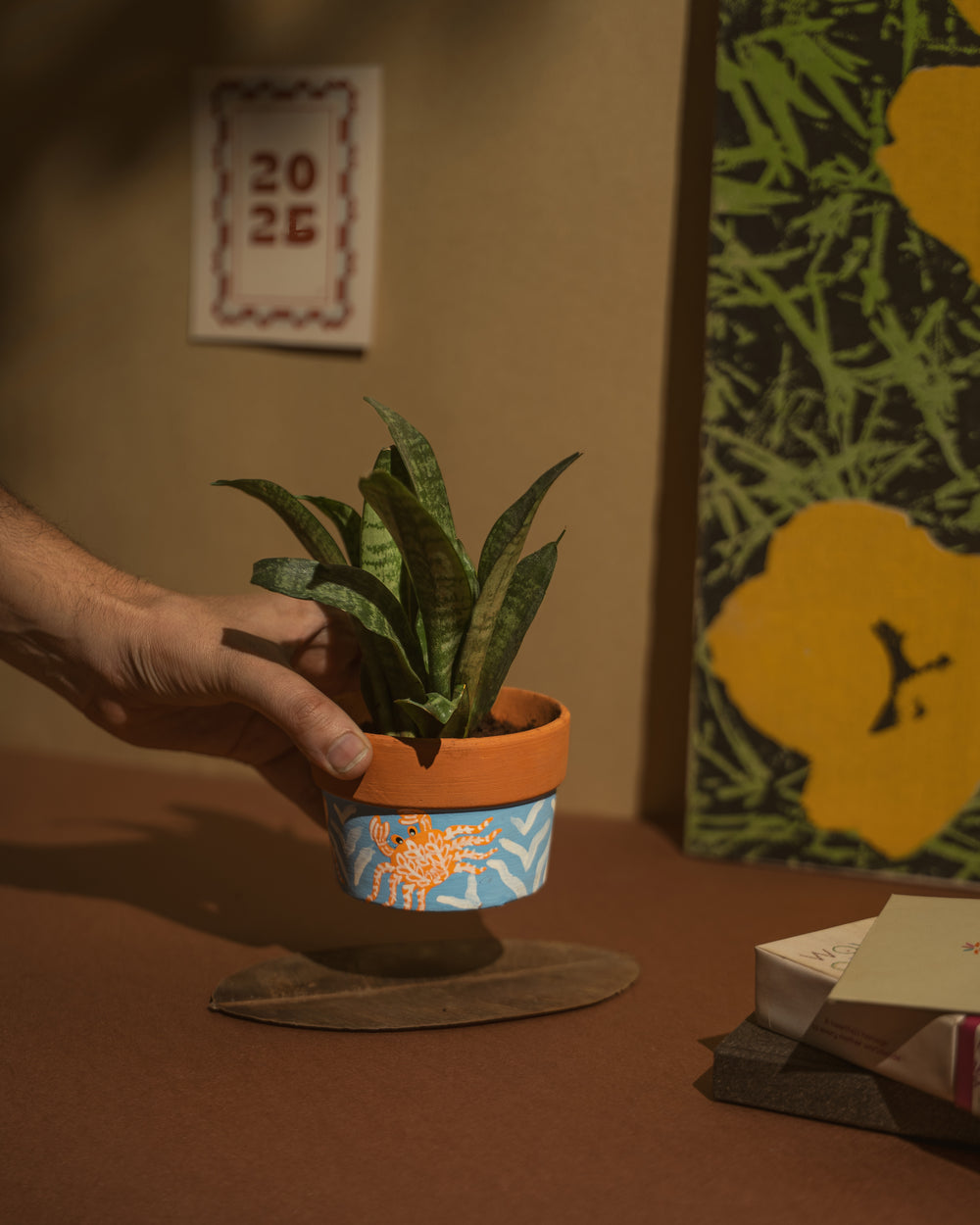 Costal Stories - Raw Earth Shop