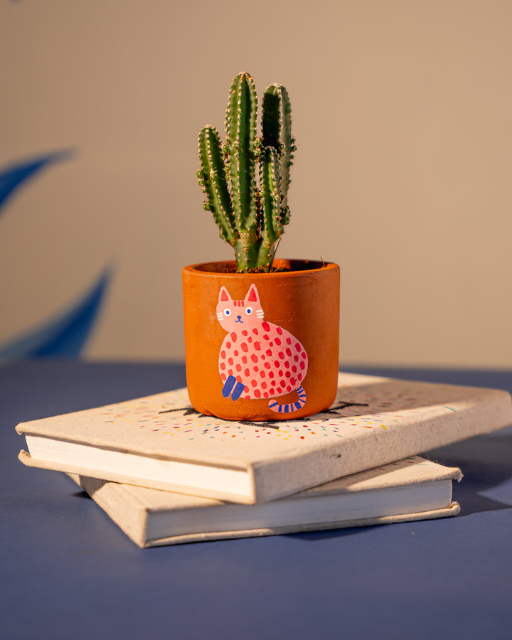 Terra Cat Pot - Raw Earth Shop