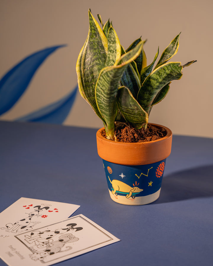 Cosmo Pup Pot - Raw Earth Shop