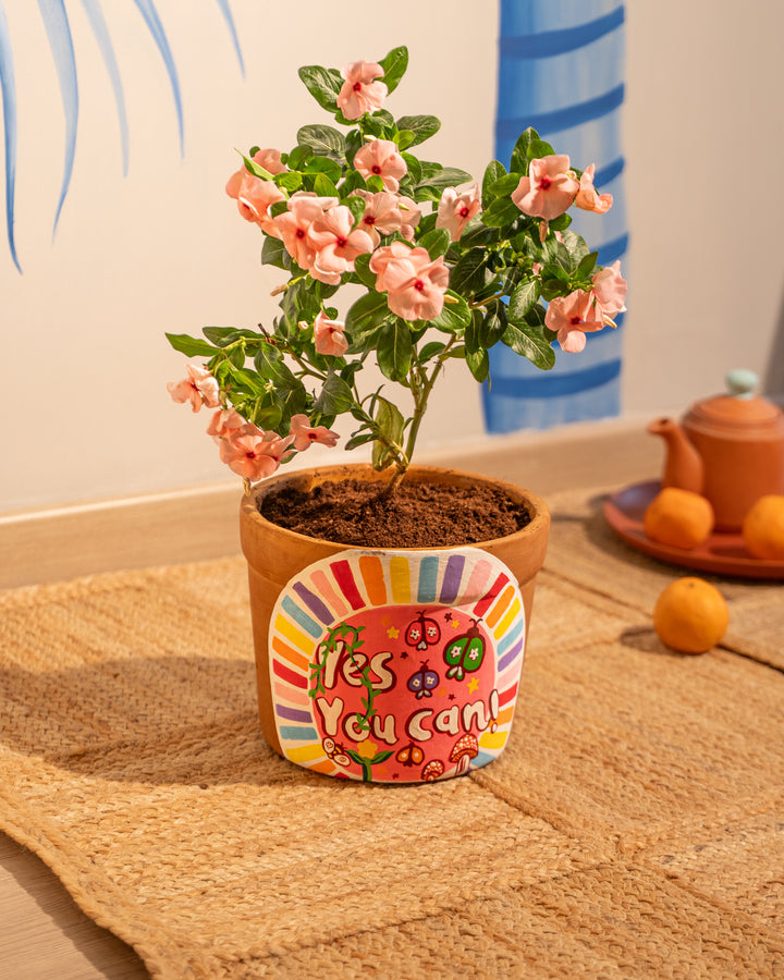 Yes You Can – Hand-Painted Terracotta Planter - Raw Earth Shop