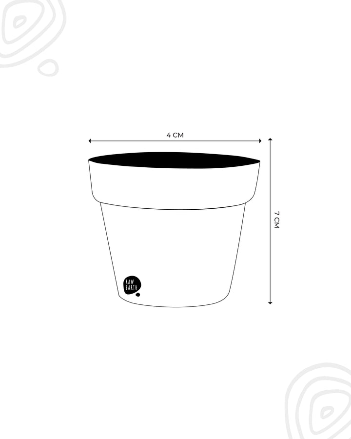 Cosmic Tales Pot - Raw Earth Shop